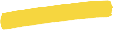 Professional packing services for safe moving